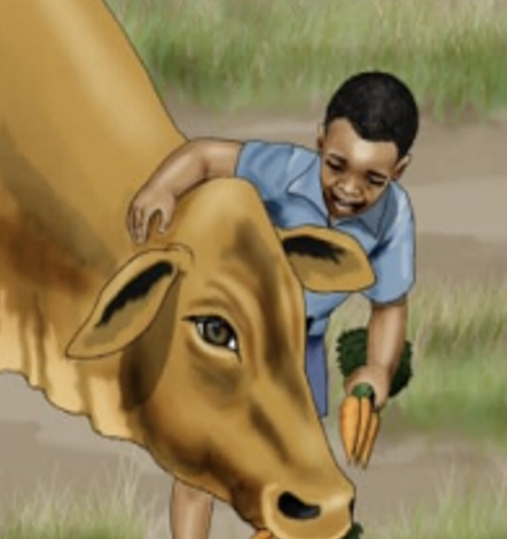 Resource Main Image
