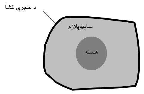 Resource Main Image
