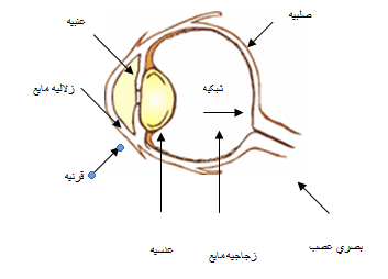 eye-pashto.pn