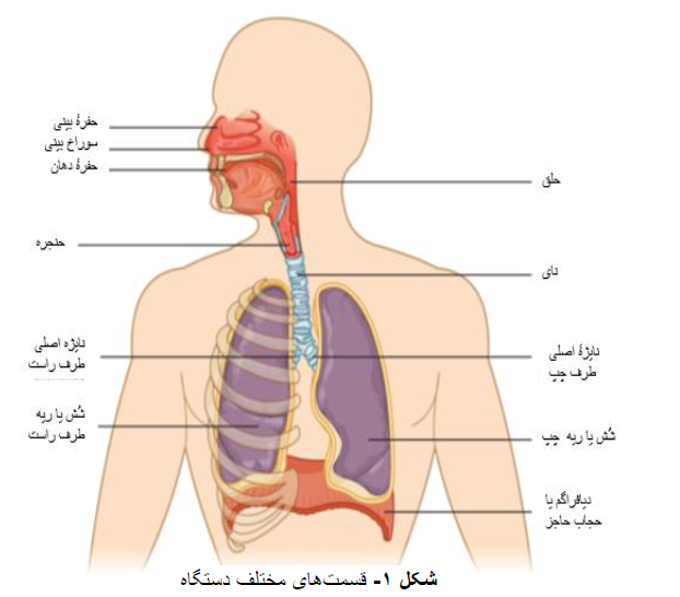 Resource Main Image