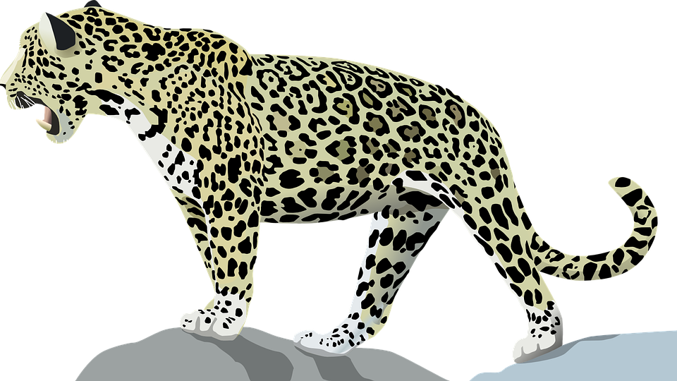 Resource Main Image