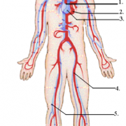 Resource Main Image