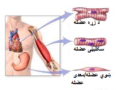 Resource Main Image
