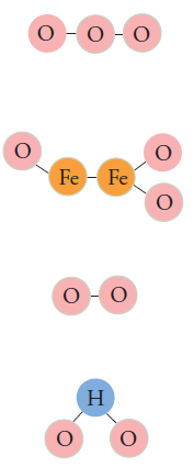 Resource Main Image