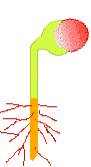 Resource Main Image